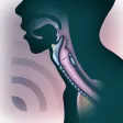 The Singing Larynx