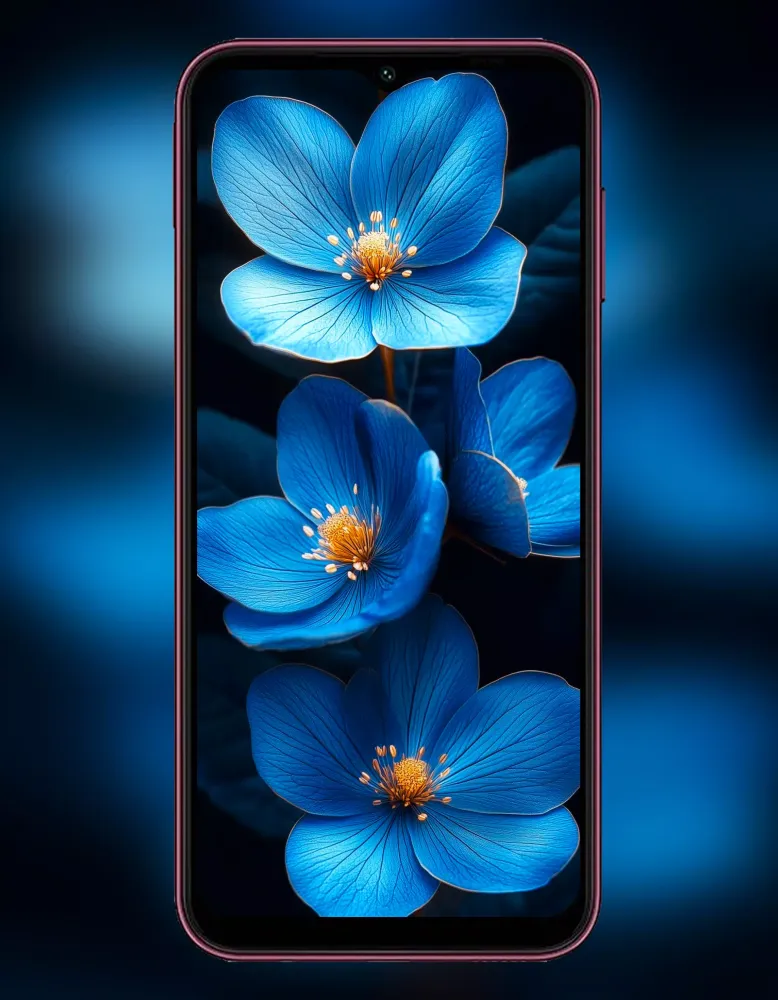 تصاویر Galaxy A14 5G Wallpaper