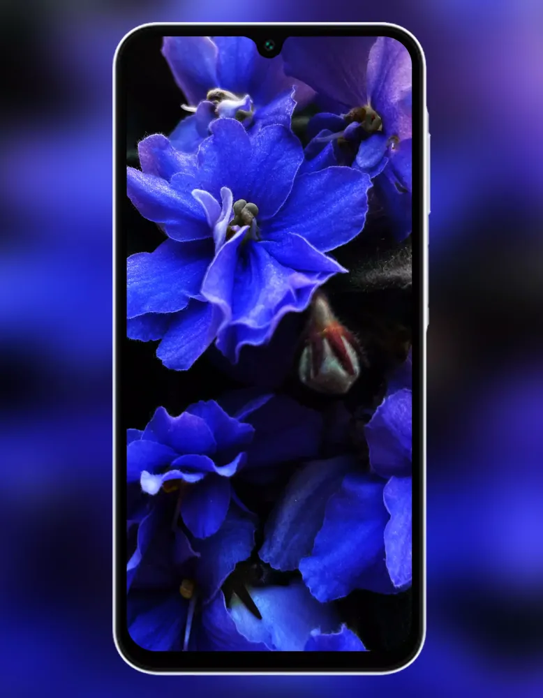 Galaxy A24 & A25 5G Wallpaper Screenshots