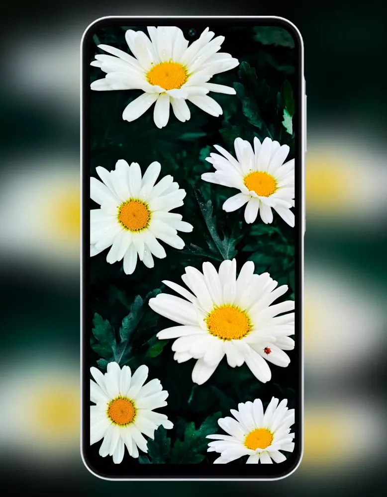 Galaxy A24 & A25 5G Wallpaper Screenshots