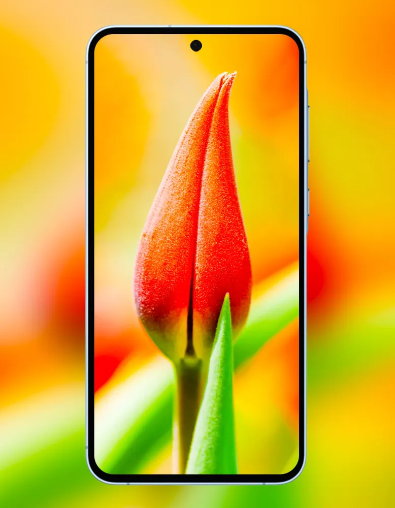 Galaxy A55 5G Wallpaper Screenshots