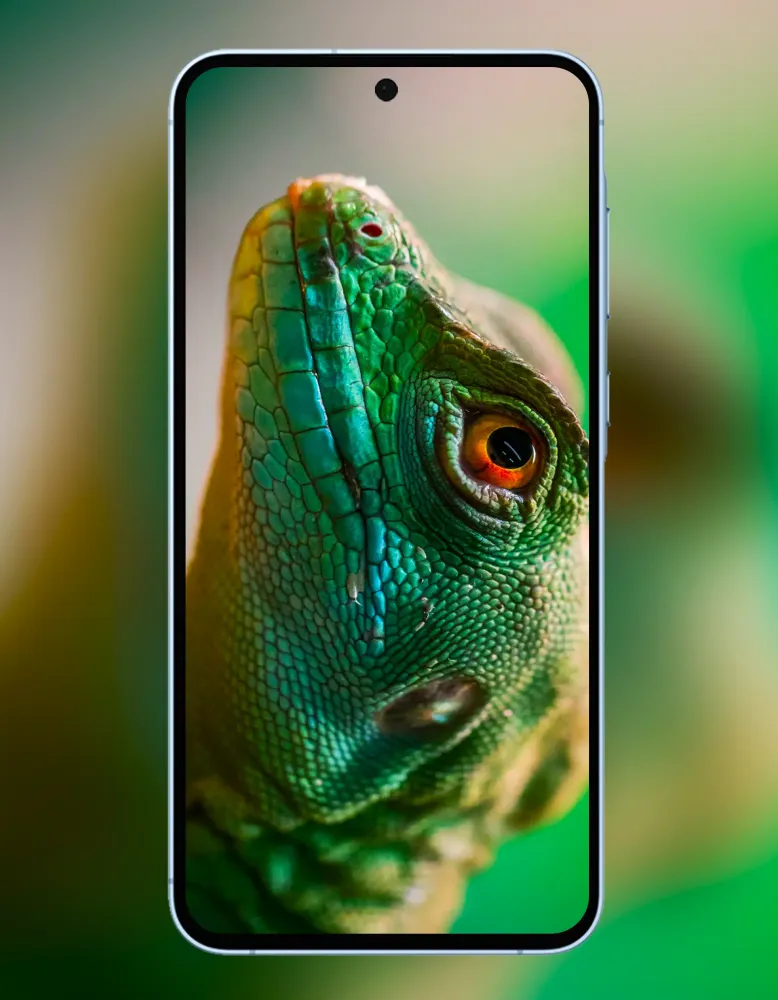 Galaxy A55 5G Wallpaper Screenshots