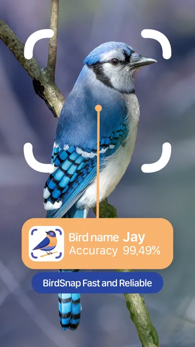 BirdSnap: Bird Identifier ID سکرین شاٹس