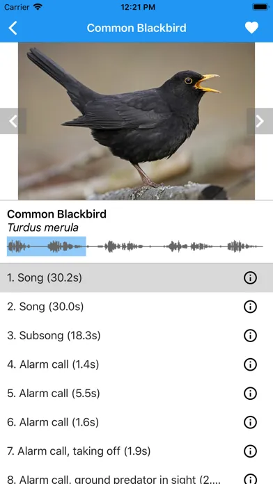 Zrzuty ekranu BirdSounds Europe