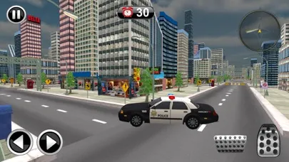 Police Car Drive Simulator应用截图