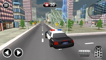 Police Car Drive Simulator应用截图