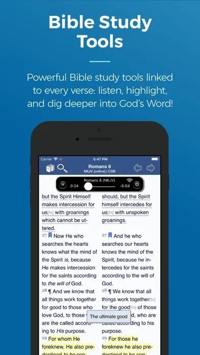 Screenshot di Blue Letter Bible