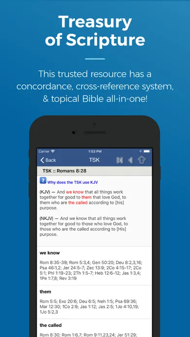 Screenshot di Blue Letter Bible
