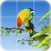 Parrot Puzzle