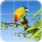 Parrot Puzzle