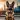 German Shepherd HD Wallpapers
