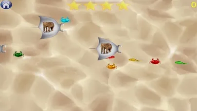 Turtle Time - Picture Memory Screenshots