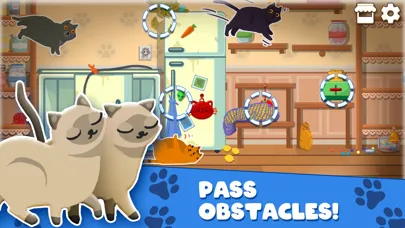 تصاویر Cat Lovescapes