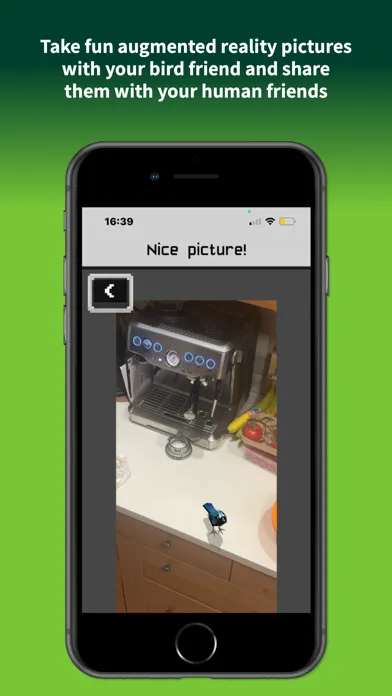 Tangkapan skrin City Clicker – Bird Plus