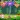 قاذف الفقاعاتBubble Shooter‏‏‏