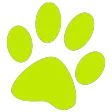 Budget Pet Products