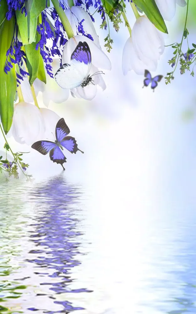 Butterfly Live Wallpaper應用截圖
