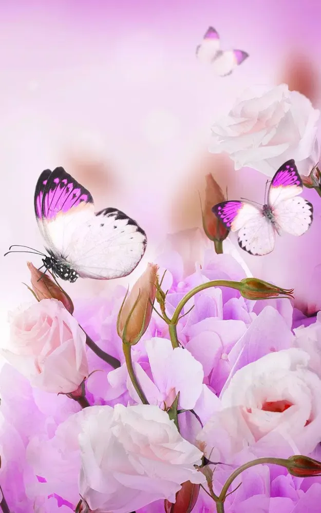 Butterfly Live Wallpaper應用截圖