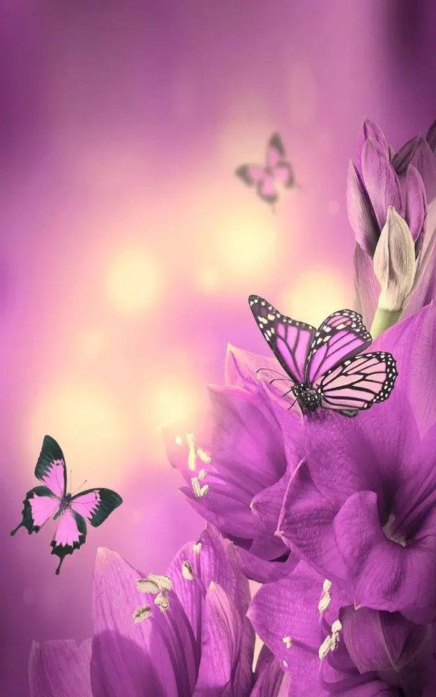 Butterfly Live Wallpaper應用截圖