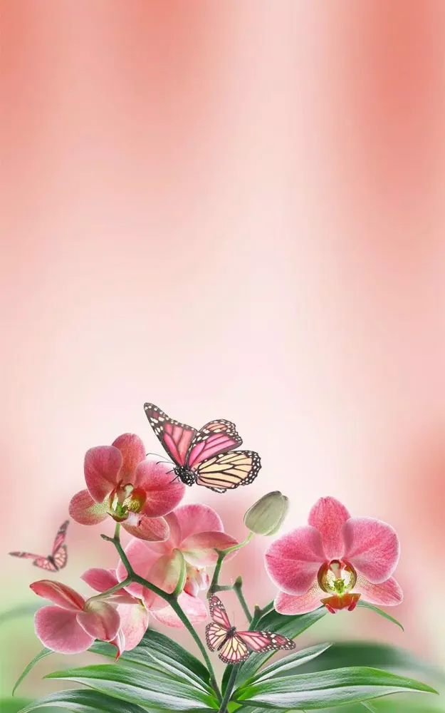 Butterfly Live Wallpaper應用截圖