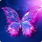 Butterfly Wallpapers