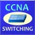 CCNA Switching Guide