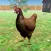 Chicken Simulator