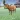 Cow and bull simulator