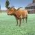 Cow and bull simulator