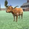 Cow and bull simulator