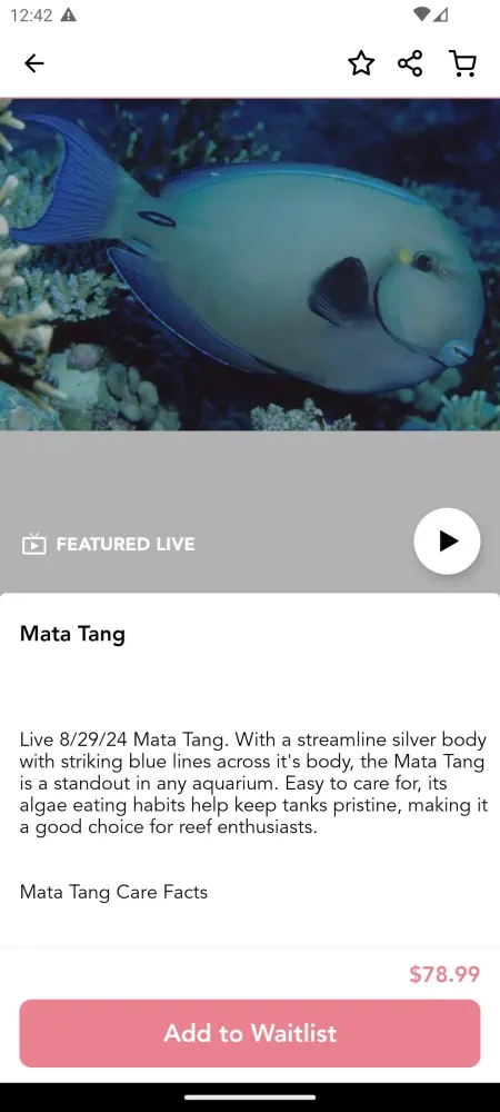 Corals Coral Live Screenshots