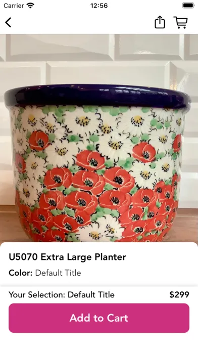 تصاویر Sostenuto Arts Polish Pottery