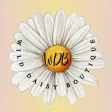 Wild Daisy Boutique Wild Daisy Boutique