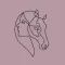Calm Willing Confident Horses