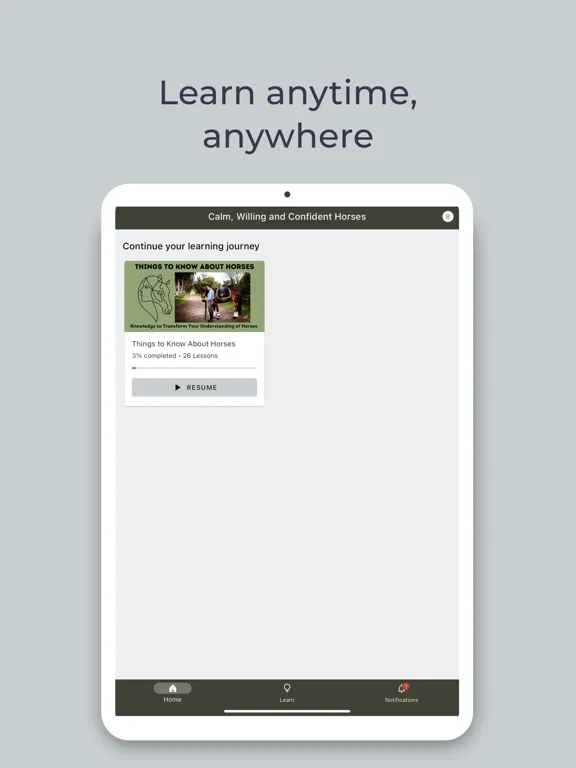 Calm Willing Confident Horses iPad  Screenshots