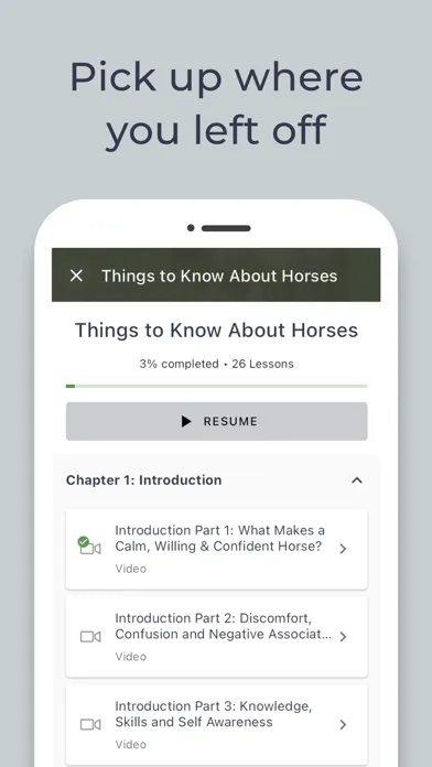 Calm Willing Confident Horses Screenshots