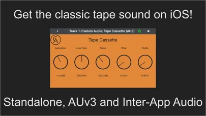 Tape Cassette স্ক্রিনশট