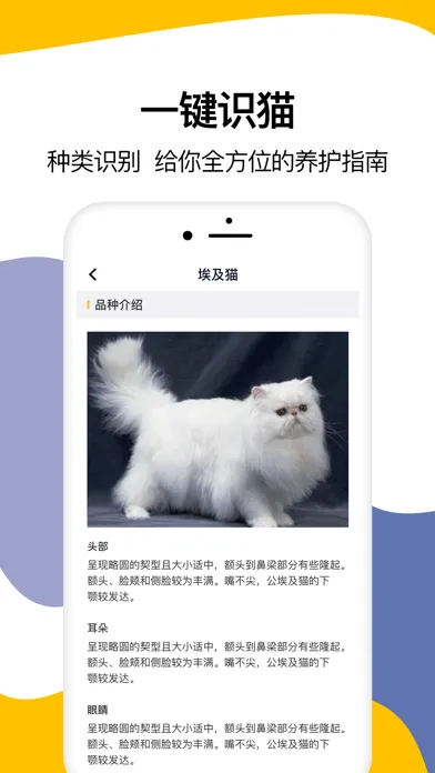 Capturas de pantalla de 猫语翻译-宠物猫咪翻译器