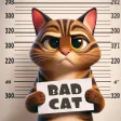 CaTastrophe