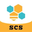 BES-SCS