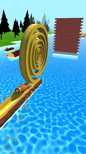 Spiral Roll Screenshots