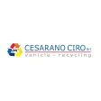 Cesarano Ricambi