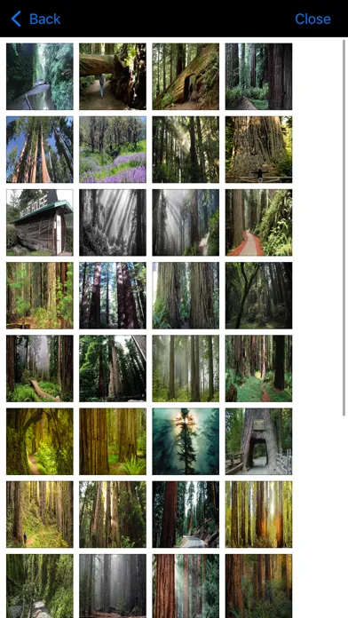 Channel Islands National -Park Screenshots