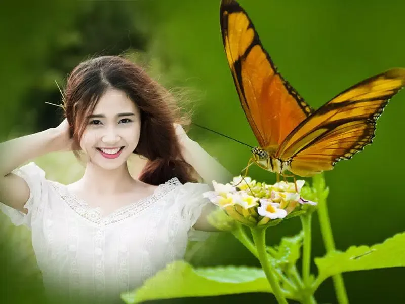 Zrzuty ekranu Butterfly Frame Collage