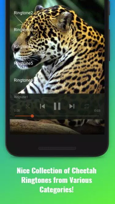 Cheetah Sounds Screenshots