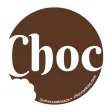Choc Cookies Choc Cookies