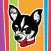 Lost Dog Cafe Binghamton