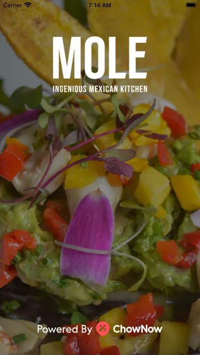 Capturas de tela do Mole Mexican Kitchen