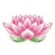 SunLife Organics