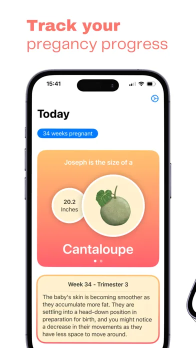 صور Track My Pregnancy Widget
